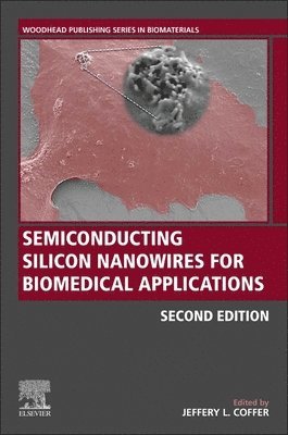 bokomslag Semiconducting Silicon Nanowires for Biomedical Applications