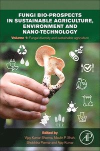 bokomslag Fungi Bio-prospects in Sustainable Agriculture, Environment and Nano-technology