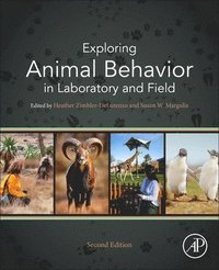 bokomslag Exploring Animal Behavior in Laboratory and Field