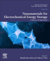 Rinaldo Raccichini, Ulderico Ulissi - Nanomaterials for Electrochemical Energy Storage, Häftad