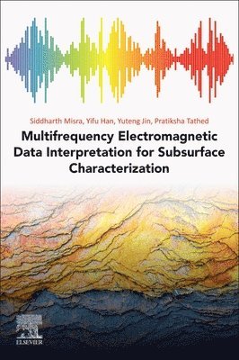 bokomslag Multifrequency Electromagnetic Data Interpretation for Subsurface Characterization