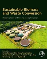 bokomslag Modeling Tools for Planning Sustainable Biomass and Waste Conversion into Energy and Chemicals