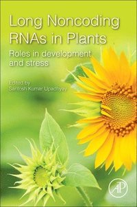 bokomslag Long Noncoding RNAs in Plants