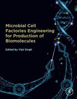 Vijai Singh - Microbial Cell Factories Engineering for Production of Biomolecules, Häftad