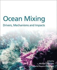 bokomslag Ocean Mixing