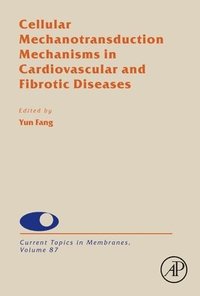 bokomslag Cellular Mechanotransduction Mechanisms in Cardiovascular and Fibrotic Diseases