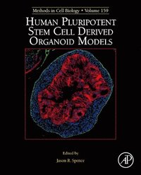 bokomslag Human Pluripotent Stem Cell Derived Organoid Models