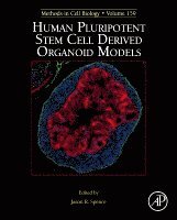 J. Spence - Human Pluripotent Stem Cell Derived Organoid Models, Inbunden