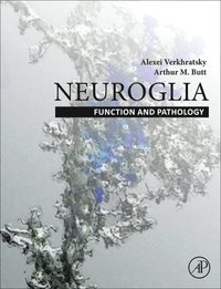 bokomslag Neuroglia: Function and Pathology