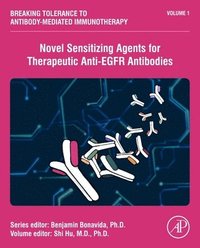 bokomslag Novel Sensitizing Agents for Therapeutic Anti-EGFR Antibodies