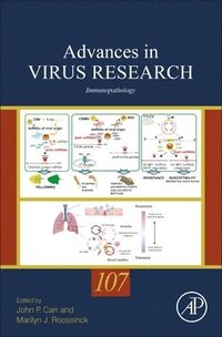 bokomslag Immunopathology