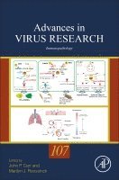 Carr,Joh, John Carr, Marilyn J. Roossinck - Immunopathology, Inbunden