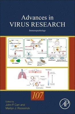 Immunopathology 1