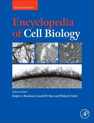 Encyclopedia of Cell Biology-, Inbunden
