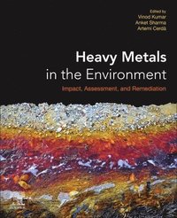 bokomslag Heavy Metals in the Environment