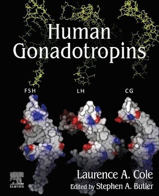 bokomslag Human Gonadotropins