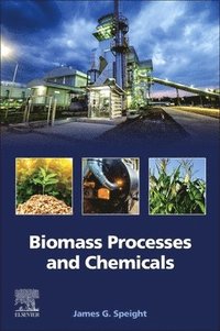 bokomslag Biomass Processes and Chemicals