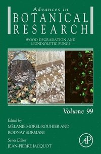 bokomslag Wood Degradation and Ligninolytic Fungi