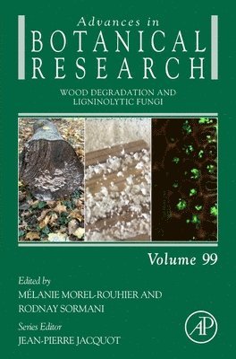 Wood Degradation and Ligninolytic Fungi 1