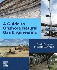 bokomslag A Guide to Onshore Natural Gas Engineering