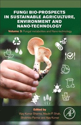 bokomslag Fungi Bio-prospects in Sustainable Agriculture, Environment and Nano-technology