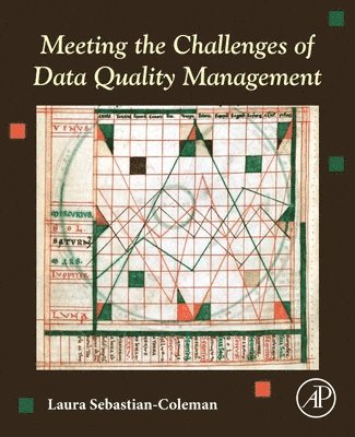 Meeting the Challenges of Data Quality Management 1