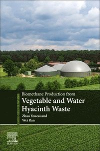 bokomslag Biomethane Production from Vegetable and Water Hyacinth Waste