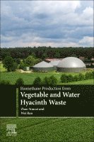 Zhao Youcai, Wei Ran - Biomethane Production from Vegetable and Water Hyacinth Waste, Häftad