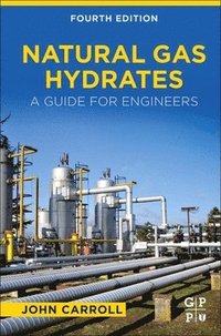 bokomslag Natural Gas Hydrates