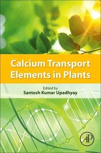 bokomslag Calcium Transport Elements in Plants