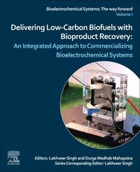 bokomslag Delivering Low-Carbon Biofuels with Bioproduct Recovery
