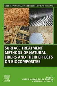 bokomslag Surface Treatment Methods of Natural Fibres and their Effects on Biocomposites