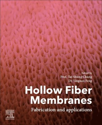 Hollow Fiber Membranes 1