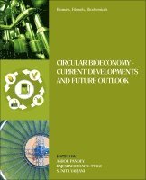 Ashok Pandey, R. D. Tyagi, Sunita Varjani - Biomass, Biofuels, Biochemicals, Häftad