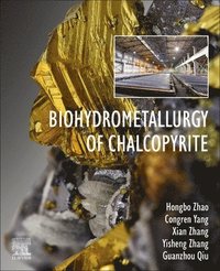bokomslag Biohydrometallurgy of Chalcopyrite