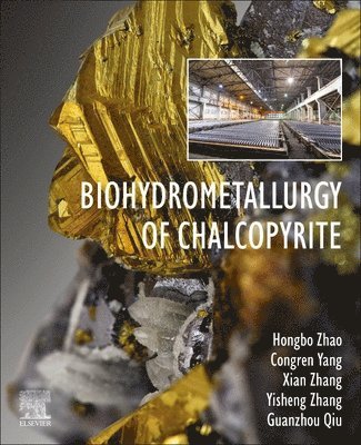 Biohydrometallurgy of Chalcopyrite 1