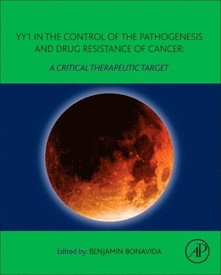 bokomslag YY1 in the Control of the Pathogenesis and Drug Resistance of Cancer