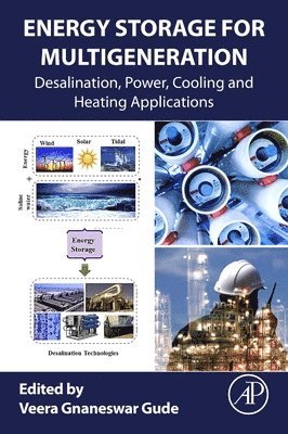 bokomslag Energy Storage for Multigeneration