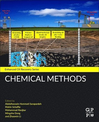 bokomslag Chemical Methods