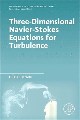 bokomslag Three-Dimensional Navier-Stokes Equations for Turbulence