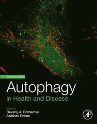 bokomslag Autophagy in Health and Disease