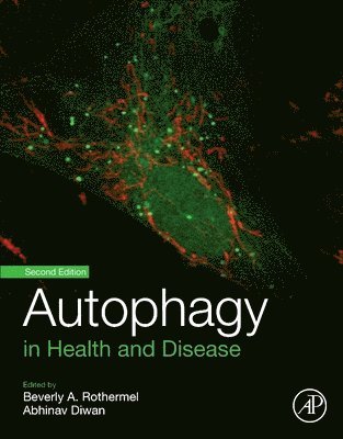Beverly Rothermel, Abhinav Diwan, USA) Rothermel, Beverly (Associate Professor, Department of Internal Medicine, Molecular Biology, UT Southwestern Medical Center - Autophagy in Health and Disease, Häftad