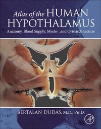 bokomslag Atlas of the Human Hypothalamus