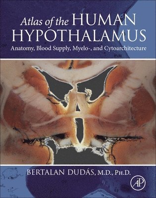 Atlas of the Human Hypothalamus 1