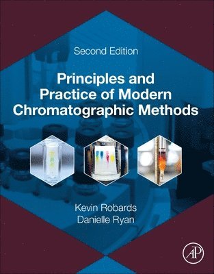 bokomslag Principles and Practice of Modern Chromatographic Methods