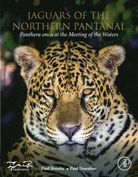 bokomslag Jaguars of the Northern Pantanal