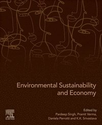 bokomslag Environmental Sustainability and Economy