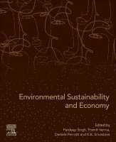 Pardeep Singh, Pramit Verma, Daniela Perrotti, K.K. Srivastava - Environmental Sustainability and Economy, Häftad