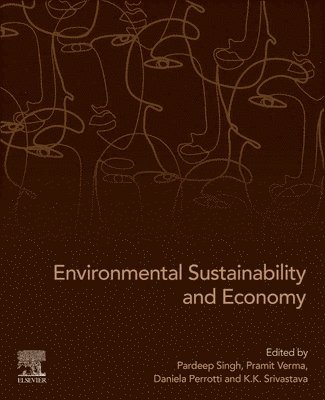 bokomslag Environmental Sustainability and Economy