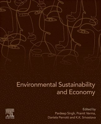 Environmental Sustainability and Economy 1